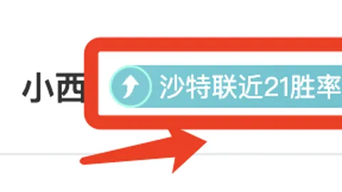 马雷斯卡剖析：帕尔默整场对决可期？首发阵容揭晓在即！